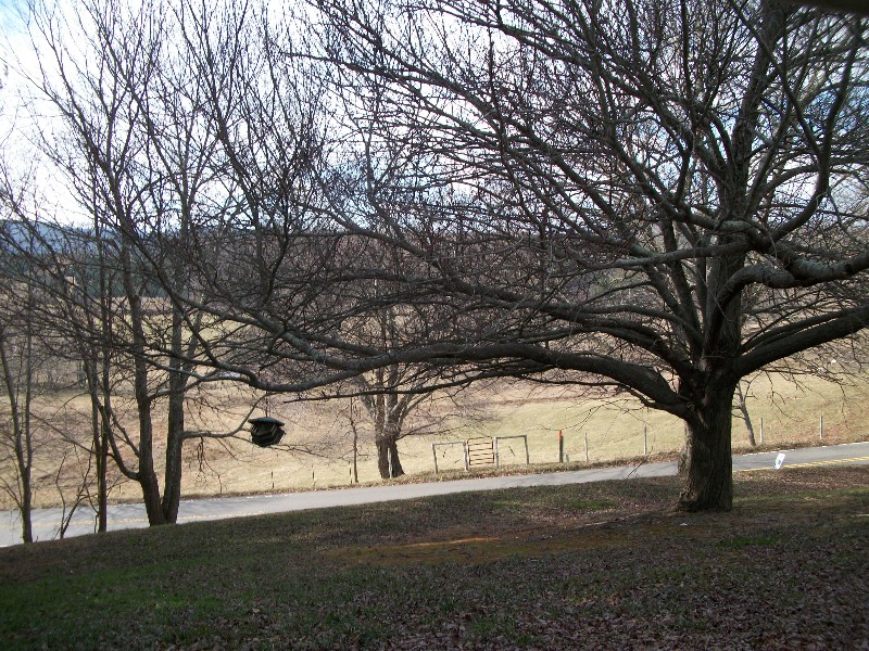 houses for sale in sparta nc