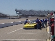The Pit Crew Photos