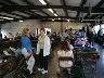 Rockingham Photos