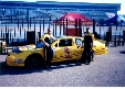 Pennzoil Team