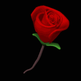 Animated Valentines Day