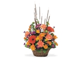 Autumn Bouquets