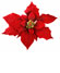 POINSETTIA