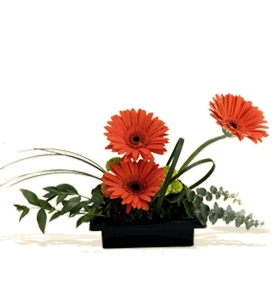 Birthday Bouquets