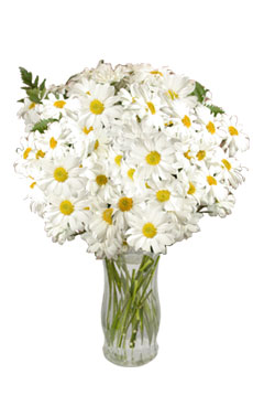 FRESH BOUQUETS