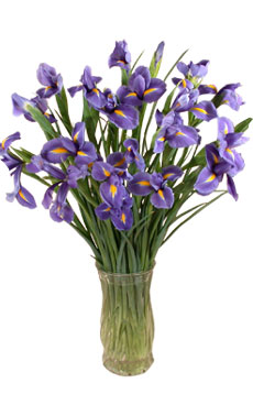 FRESH BOUQUETS