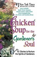 Chicken Soup