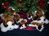 christmas gift shops in sparta