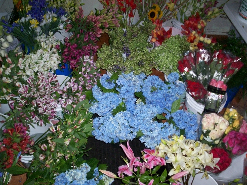 Delivering to Sparta, NC - High Meadows and Roaring Gap,
and all of Alleghany County, North Carolina. We also deliver to - Ashe County, NC . In VA ,we deliver to Independence and Galax in Grayson County, Virginia