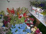 Pictures inside the cooler