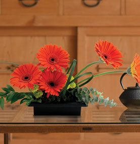 Teleflora&rsquo;s Zen Gerbera Bowl