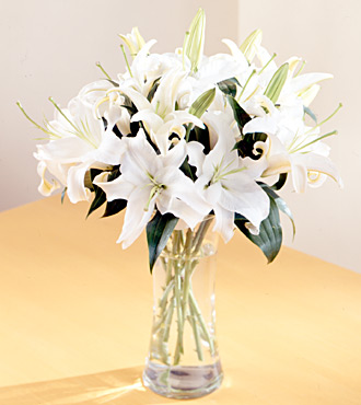 Delivering to ennice, glade creek, glade valley, roaring gap, laurel springs, piney creek and more
