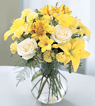 We Are Located Near The Blue Ridge Parkway
