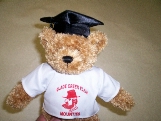 Graduation Bears