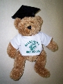 Graduation Bears
