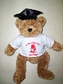 Graduation Bears