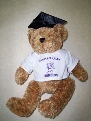 Graduation Bears