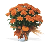 Halloween Bouquets