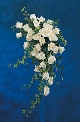 Flowers For The Wedding