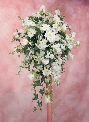Flowers For The Wedding