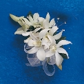 Flowers For The Wedding