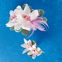 Flowers For The Wedding