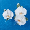 Flowers For The Wedding