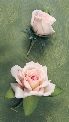 Flowers For The Wedding