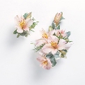Flowers For The Wedding
