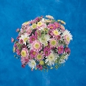 Flowers For The Wedding