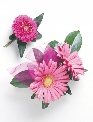 Flowers For The Wedding
