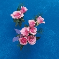 Flowers For The Wedding