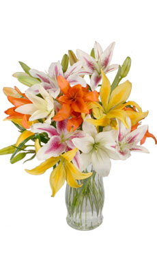 Lilies