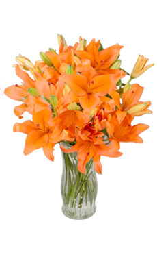 Lilies