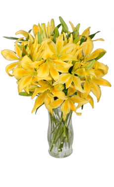 Lilies