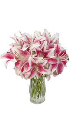 Lilies