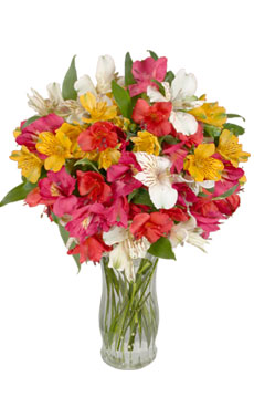 Lilies