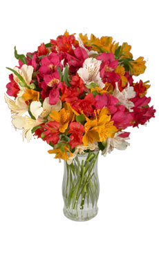 Lilies