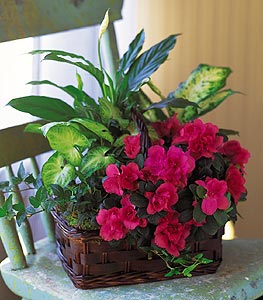 Delivering to ennice, glade creek, glade valley, roaring gap, laurel springs, piney creek and more
