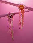 Flowers For The Prom and Homecoming