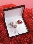Flowers For The Prom and Homecoming