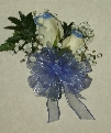 Flowers From The Alleghany Prom