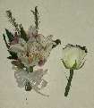 Flowers From The Alleghany Prom
