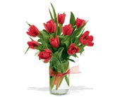 spring tulips - red 