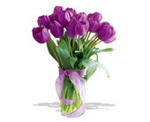 spring tulips deluxe- purple