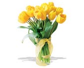 spring tulips deluxe- yellow