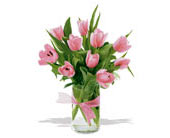 spring tulips - light pink 