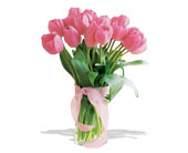 spring tulips deluxe - light pink