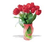 spring tulips deluxe - red 
