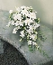 Flowers For The Wedding